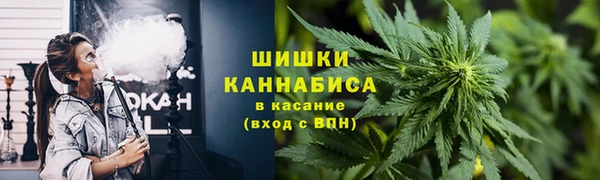 шишки Аксай