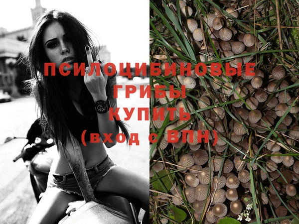 mdpv Бердск