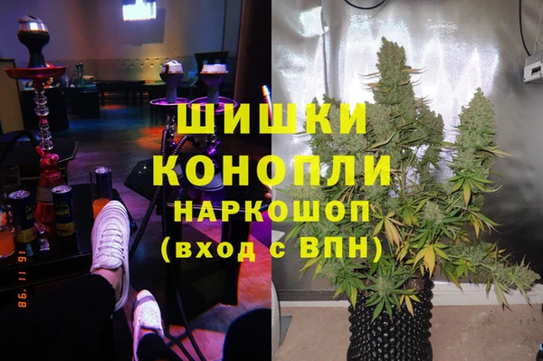 индика Зеленокумск