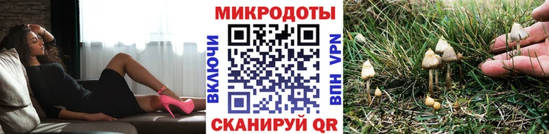 дарнет шоп  Багратионовск  Псилоцибиновые грибы ЛСД 